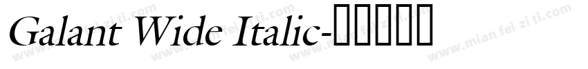 Galant Wide Italic字体转换